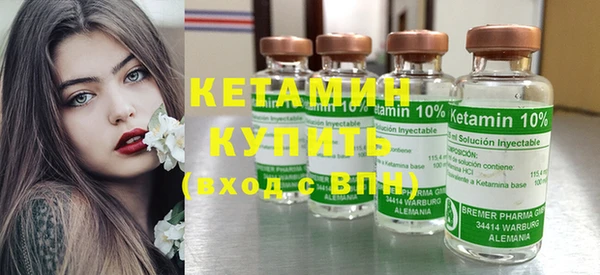 прущие грибы Дмитровск