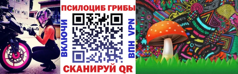 блэк спрут   сайты даркнета какой сайт  Псилоцибиновые грибы мухоморы  где купить наркотик  Фатеж 